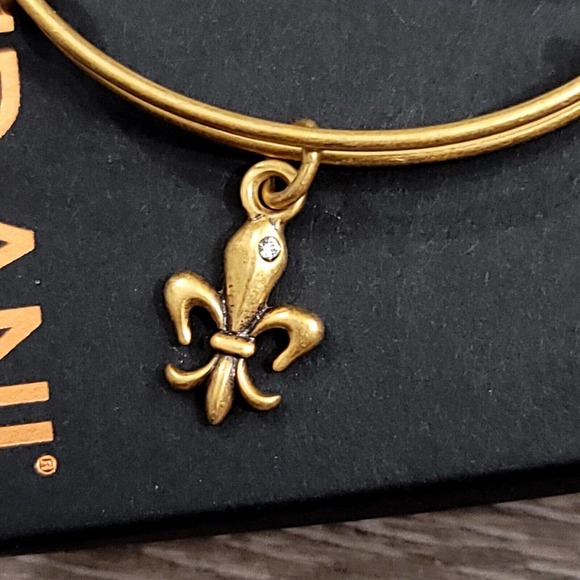 Alex And Ani French Royalty Charm Bracelet - Picture 3 of 7